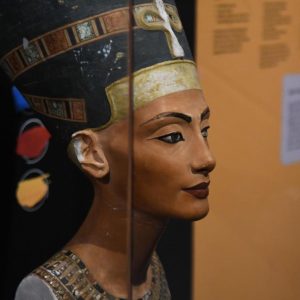 Natural History Museum (2)